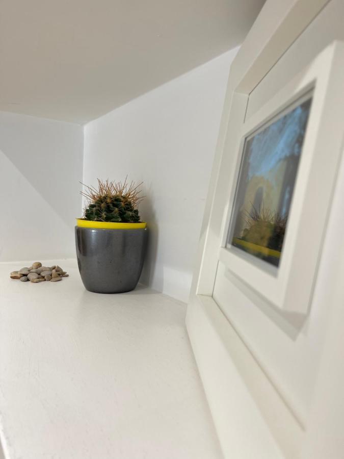 Green Home Rome Bagian luar foto